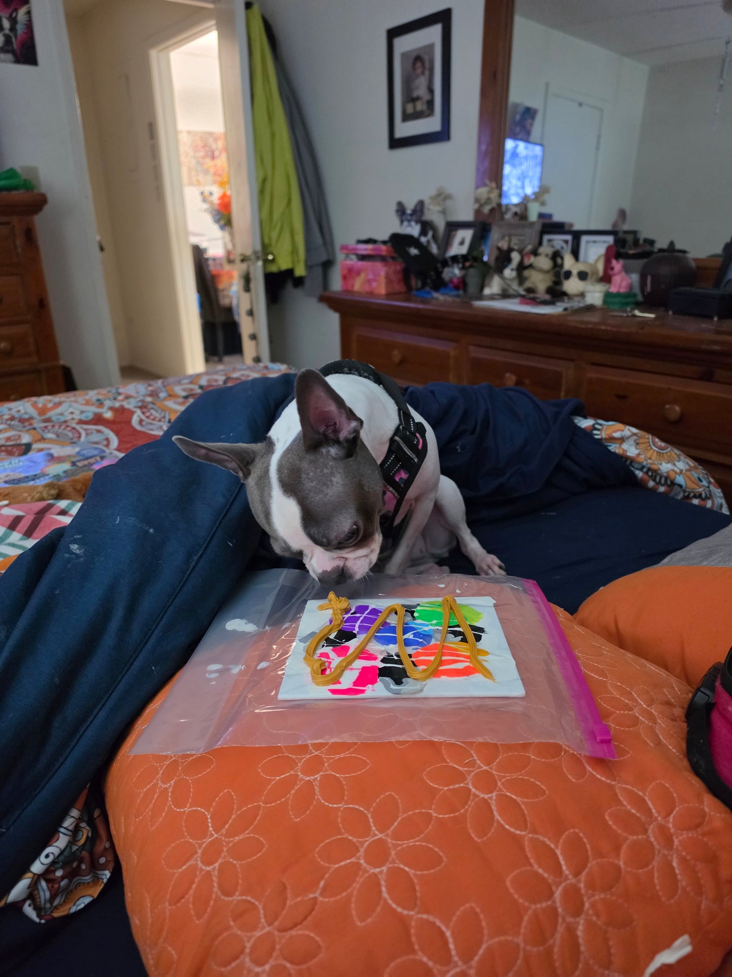 Dog-Inspired Abstract Canvas Wall Art – Vibrant Modern Pet Painting